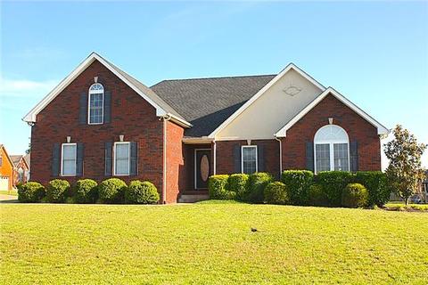 161 Brandywine Ln, Springfield, TN 37172 photo 1