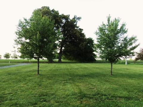 4971 Hyde Rd, Springfield, TN 37172 photo 19