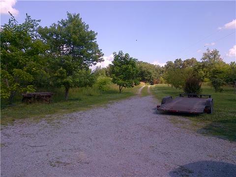 835 Stringfellow Rd, White Bluff, TN 37187 photo 6