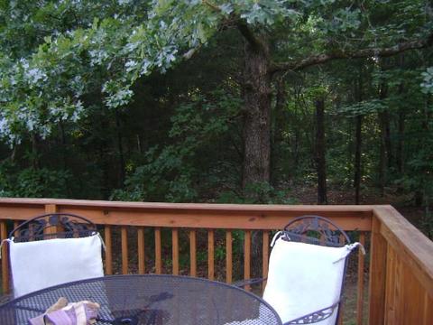 7829 Pinecrest Ct, Fairview, TN 37062 photo 12