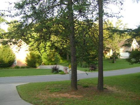 7829 Pinecrest Ct, Fairview, TN 37062 photo 6