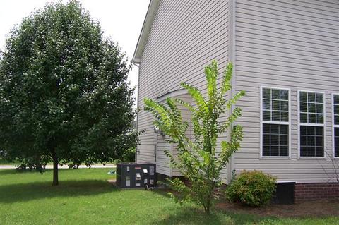 2904 Wind Dance Rd, Spring Hill, TN 37174 photo 3