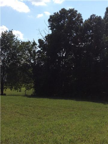255 Whitson Rd, Bethpage, TN 37022 photo 1