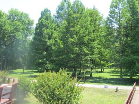 205 Division St, Normandy, TN 37360 photo 20