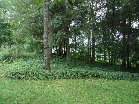 30907 Gowan Rd, Ardmore, TN 38449 photo 15