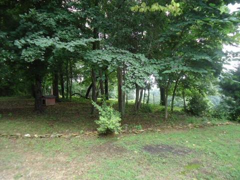 30907 Gowan Rd, Ardmore, TN 38449 photo 16