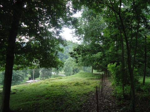 30907 Gowan Rd, Ardmore, TN 38449 photo 19