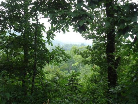 30907 Gowan Rd, Ardmore, TN 38449 photo 18