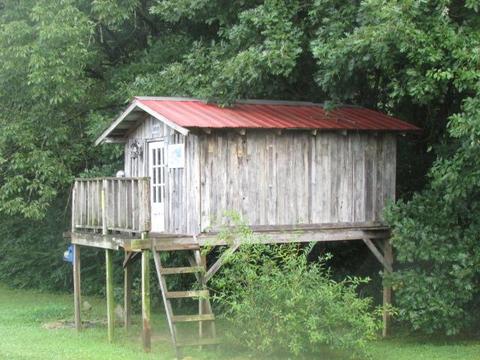 196 Joe Williams Rd, Five Points, TN 38457 photo 19