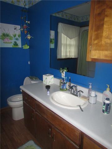 196 Joe Williams Rd, Five Points, TN 38457 photo 12