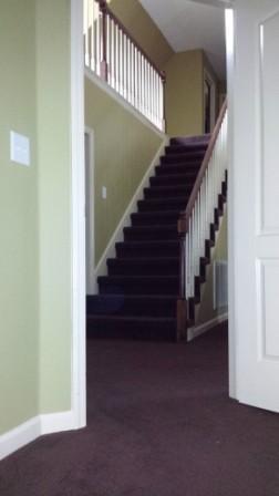 323 Braxton Dr, Murfreesboro, TN 37130 photo 9