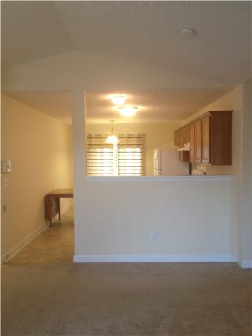 220 Dimaggio Dr, Springfield, TN 37172 photo 5
