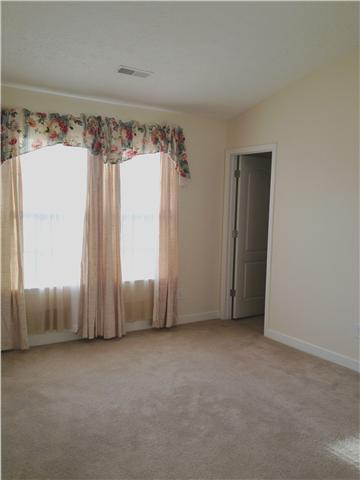 220 Dimaggio Dr, Springfield, TN 37172 photo 6