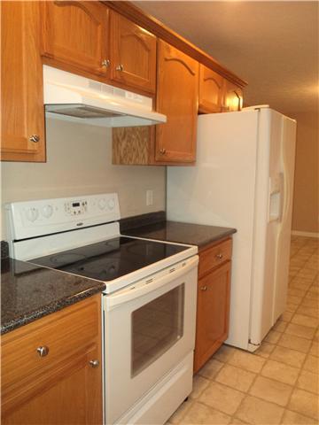 5334 Draper Rd, Springfield, TN 37172 photo 7
