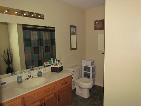 3875 Armstrong Rd, Springfield, TN 37172 photo 18