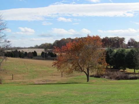 3875 Armstrong Rd, Springfield, TN 37172 photo 3