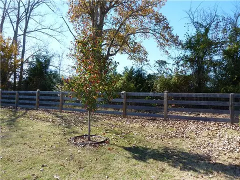 1029 Daniel Ln, Spring Hill, TN 37174 photo 18