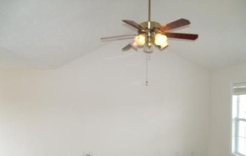 1129 10th Ave E, Springfield, TN 37172 photo 4