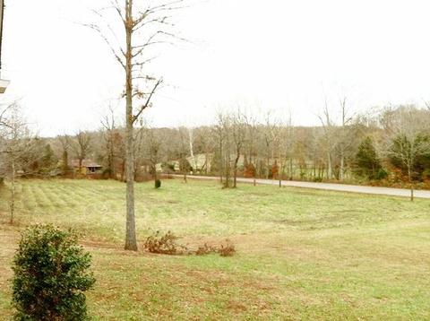 1185 Biter Rd, Cunningham, TN 37052 photo 18