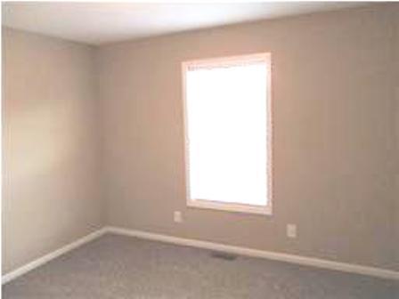 1185 Biter Rd, Cunningham, TN 37052 photo 10