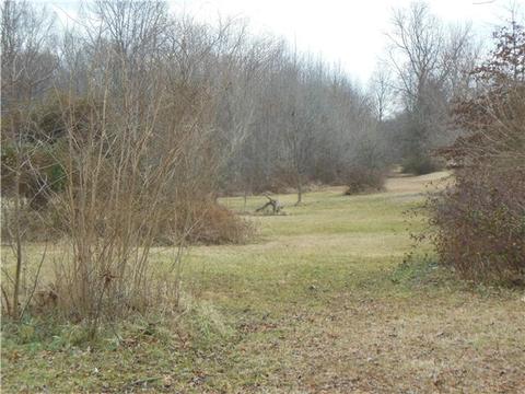 604 Blackpatch Dr, Springfield, TN 37172 photo 5