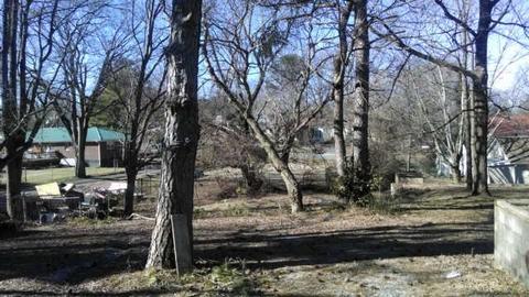 203 N Main St, Springfield, TN 37172 photo 2