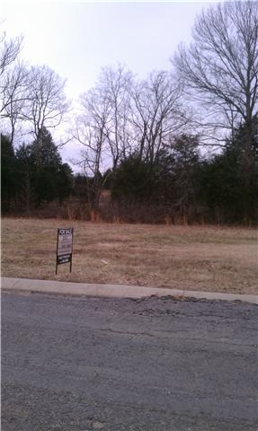 1004 Beverly Ln, Spring Hill, TN 37174 photo 1
