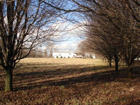 1016 Swan Ml, Morrison, TN 37357 photo 2