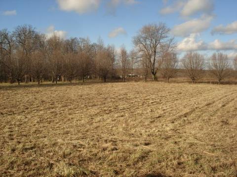 1016 Swan Ml, Morrison, TN 37357 photo 5
