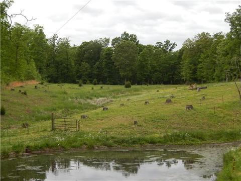 110 Oaktree Ln, Dickson, TN 37055 photo 15
