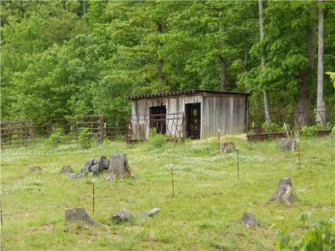 110 Oaktree Ln, Dickson, TN 37055 photo 16
