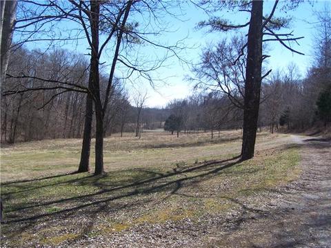 486 Powell School Rd, Goodspring, TN 38460 photo 2