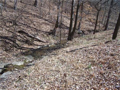 486 Powell School Rd, Goodspring, TN 38460 photo 9