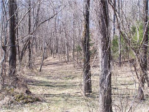 486 Powell School Rd, Goodspring, TN 38460 photo 7