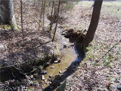 486 Powell School Rd, Goodspring, TN 38460 photo 8