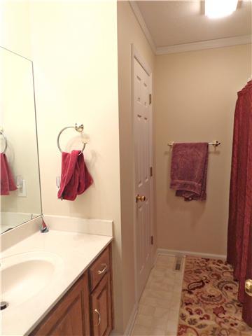 3620 Artesian Way, Spring Hill, TN 37174 photo 11