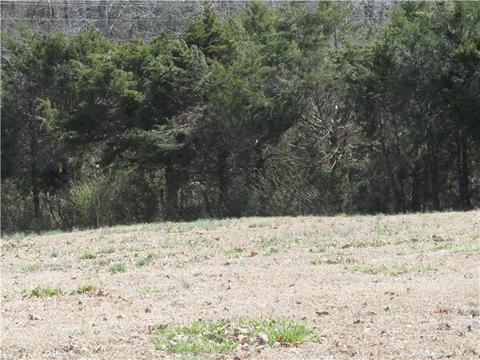 2040 Ccc Rd, Dickson, TN 37055 photo 5