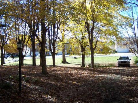 326 Golfview Ln, Springfield, TN 37172 photo 2