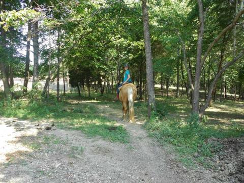 135 Sullivan Rd, Dickson, TN 37055 photo 7