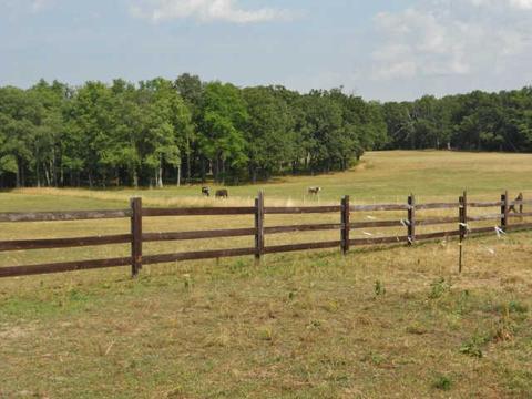 135 Sullivan Rd, Dickson, TN 37055 photo 6