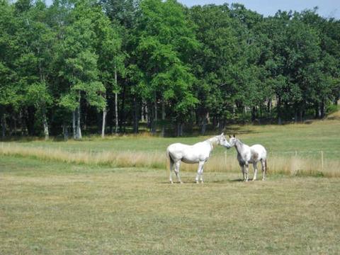 135 Sullivan Rd, Dickson, TN 37055 photo 8