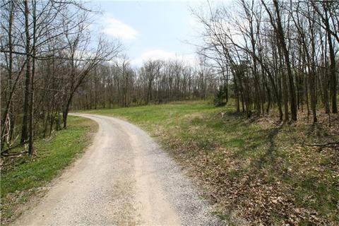 132 Trinity Rd, Franklin, TN 37067 photo 1