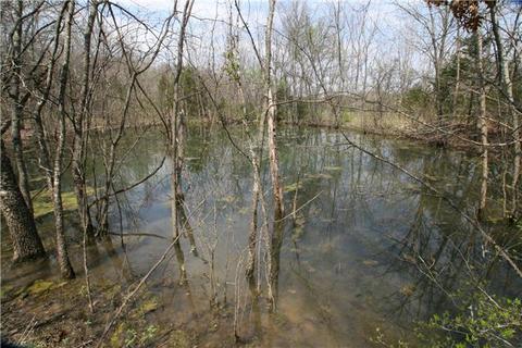132 Trinity Rd, Franklin, TN 37067 photo 7