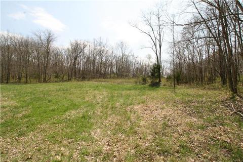 132 Trinity Rd, Franklin, TN 37067 photo 3
