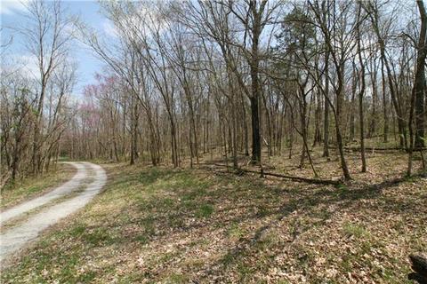 132 Trinity Rd, Franklin, TN 37067 photo 4