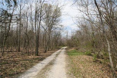 132 Trinity Rd, Franklin, TN 37067 photo 2