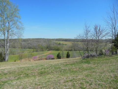 180 Batson Rd, Cunningham, TN 37052 photo 19