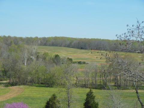 180 Batson Rd, Cunningham, TN 37052 photo 2