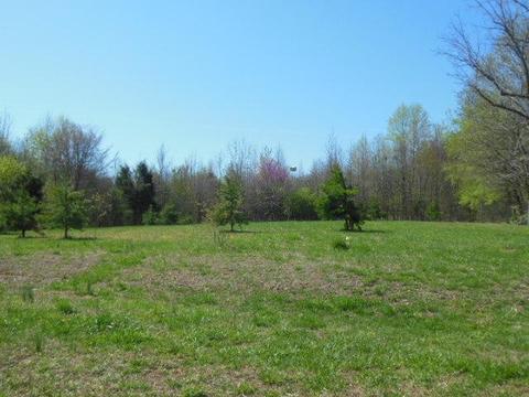 180 Batson Rd, Cunningham, TN 37052 photo 20