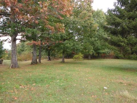 1064 Cabbage Patch Rd, Altamont, TN 37301 photo 13